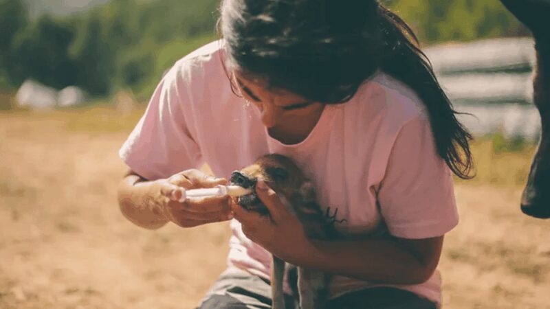 Wild Forest Reserve Foundation - Visit - Why This Tour Offers Genuine Value