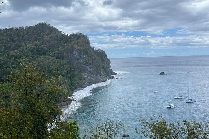 Wild Immersion: Hiking in the Heart of the Rainforest - The Sum Up: Is It Worth It?