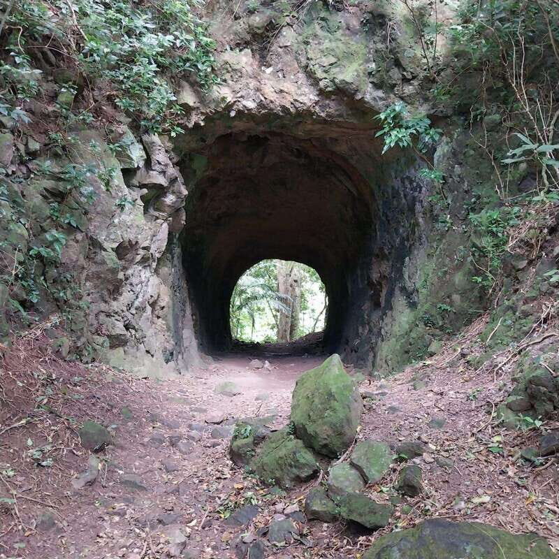 Wild Immersion : Hiking in the Heart of the Tropical Forest - Who Should Consider This Tour?