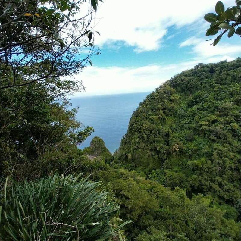 Wild Immersion : Hiking in the Heart of the Tropical Forest - FAQ