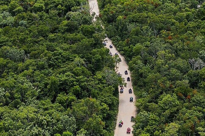Wild Jungle ATV Adventure with Cenote and Monkey Sanctuary - Who Would Love This Tour?
