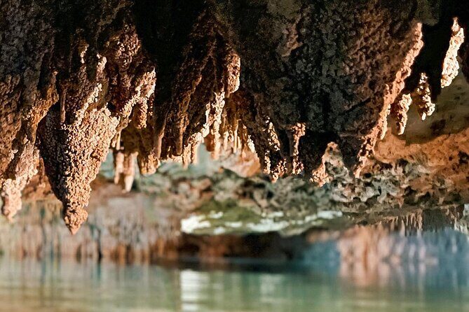 Wild Jungle ATV Adventure with Cenote and Monkey Sanctuary - Final Thoughts: The Bottom Line