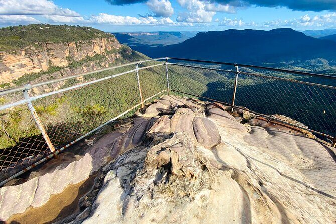 Wild Kangaroos, Blue Mountains and a Cruise - An In-Depth Look at Your Day
