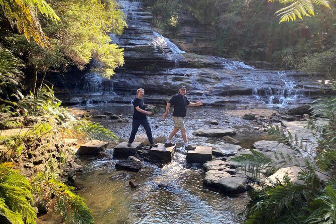 Wild Kangaroos, Blue Mountains and a Cruise - FAQ