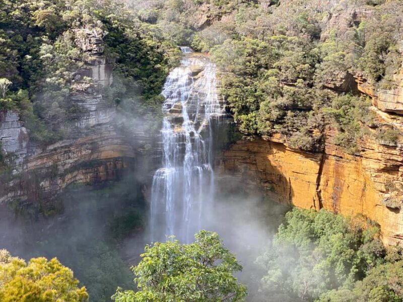 Wild Kangaroos & Blue Mountains private tour - Key Points