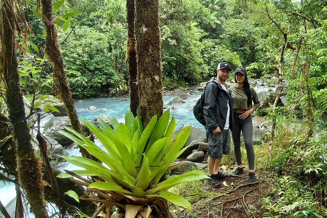 Wild Life And Horseback Riding Through The Rain Forest - Personalized Tour Experience
