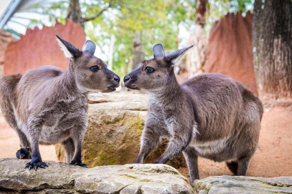 WILD LIFE Sydney Zoo - Location Information
