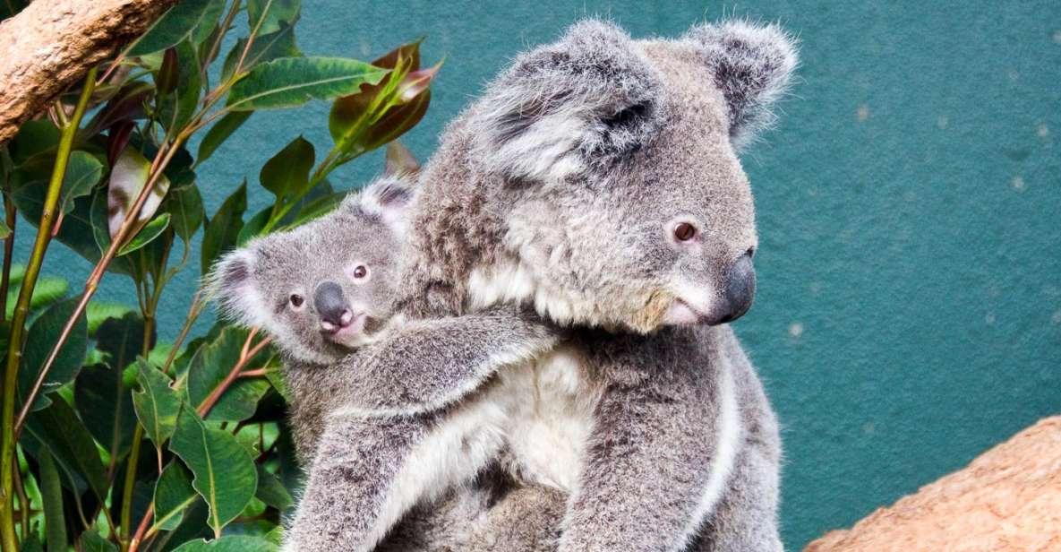 WILD LIFE Sydney Zoo - Customer Reviews