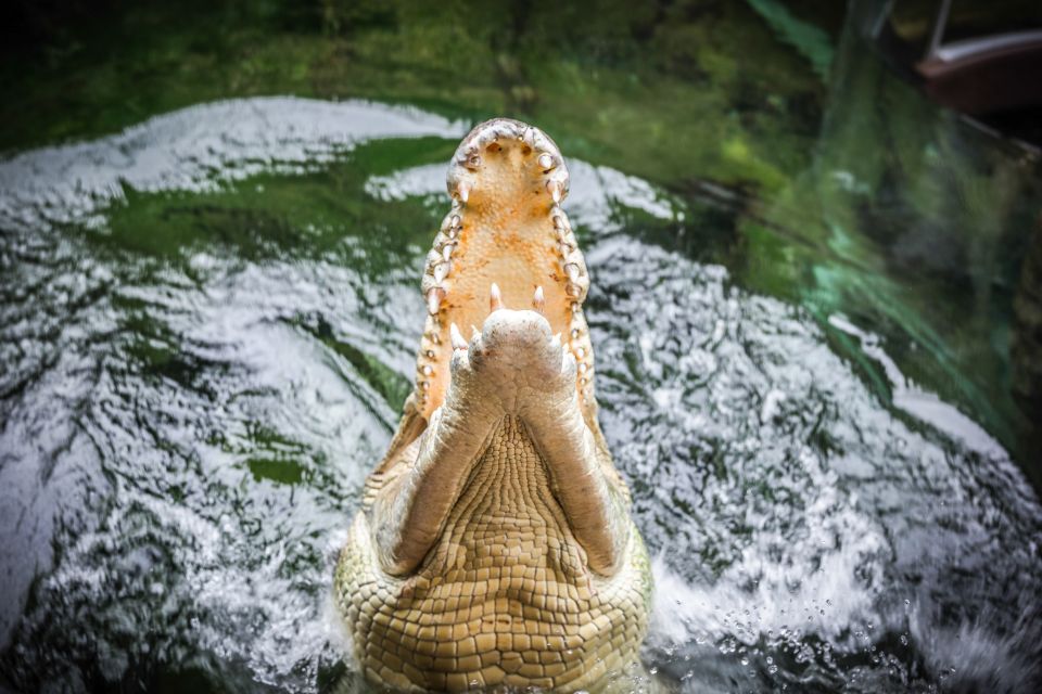 WILD LIFE Sydney Zoo - Visitor Accessibility