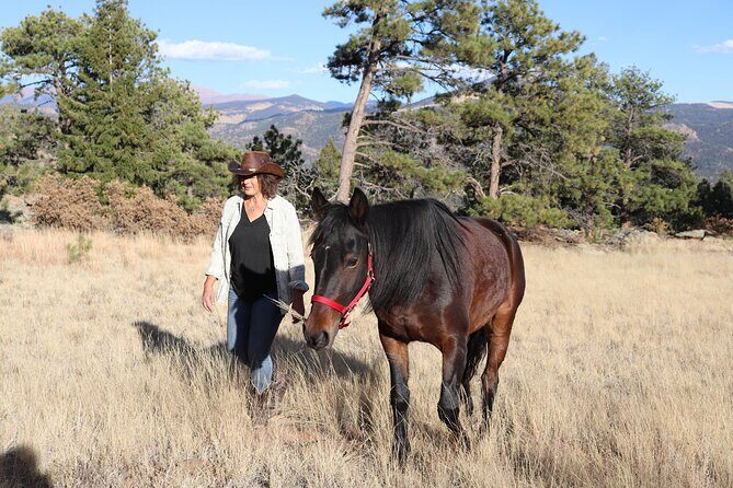 Wild Mustang Experience Near Colorado Springs - Final Thoughts