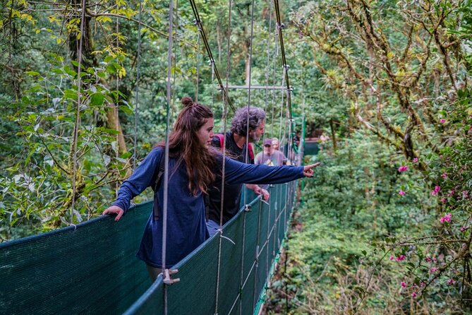 Wild Nature and Adventure Combo From Guanacaste - Traversing Hanging Bridges in the Wild