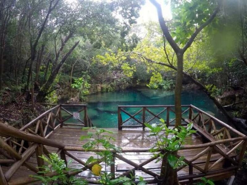 Wild On Punta Cana: Cruise with Snorkeling Half Day - Final Thoughts: Is It Worth It?