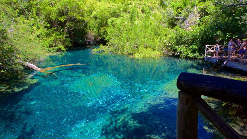 Wild on Punta Cana: Cruise With Snorkeling Half Day - Restrictions