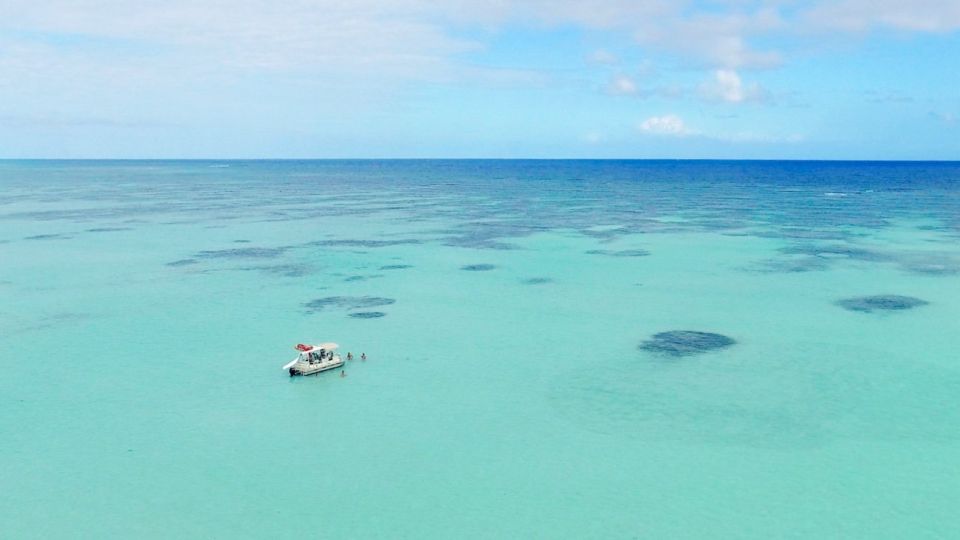 Wild on Punta Cana: Cruise With Snorkeling Half Day - Frequently Asked Questions