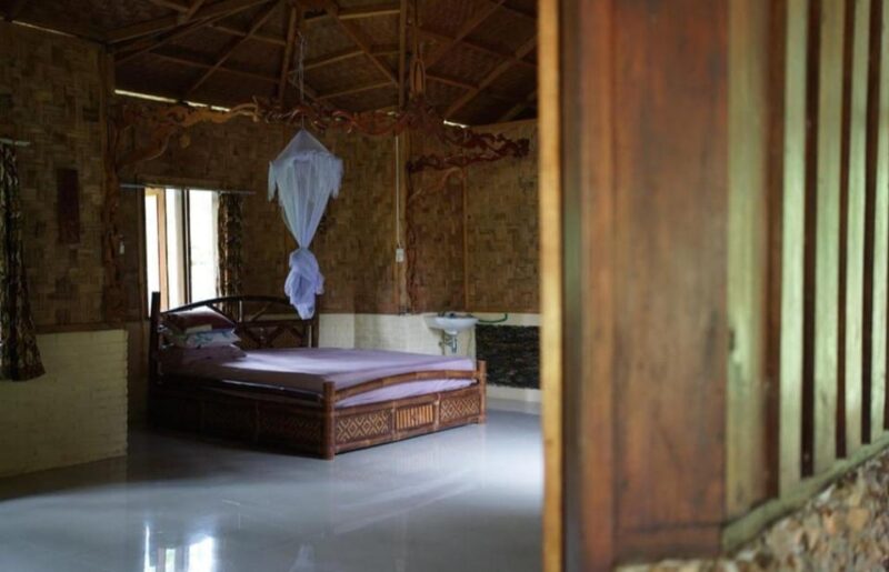 Wild Orangutan Trek: 2-Day Adventure in Gunung Leuser Park - Overview of the Adventure