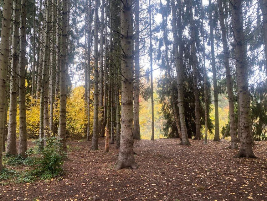 Wild Pickleball: an Experience of Paddle, Nature and Fun - Key Points