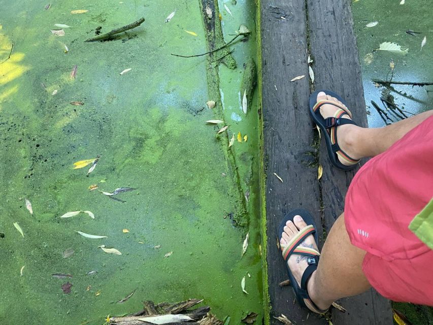 Wild Pickleball: an Experience of Paddle, Nature and Fun - Meeting Point Location