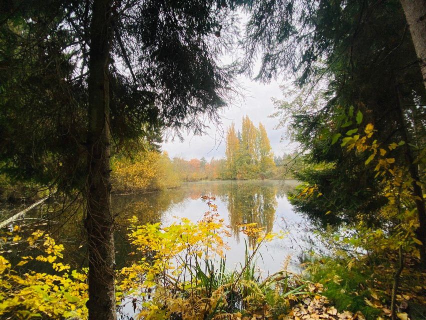 Wild Pickleball: an Experience of Paddle, Nature and Fun - Shoreline Walk