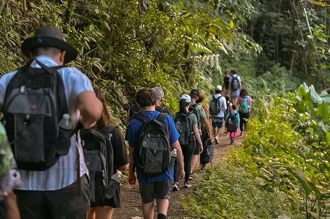 Wild & Scenic Rainforest Nature Walk (Day Time River & Swim) - Final Thoughts: Who Should Book This Tour?