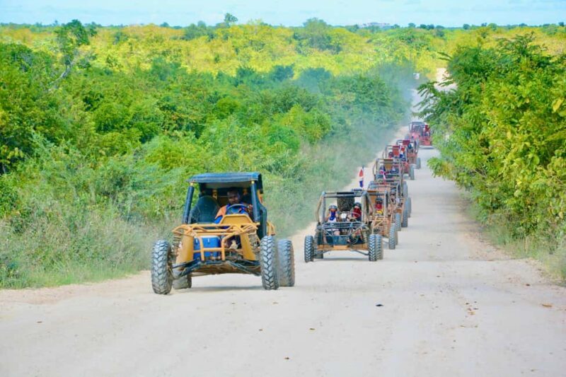 Wild Tiger Buggy: The Best Buggy Excursions in Punta Cana - FAQ