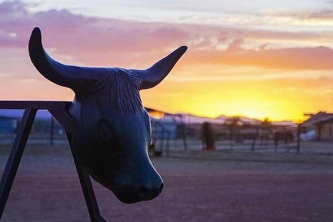 Wild West Sunset Horseback Ride With Dinner From Las Vegas - Safety Guidelines