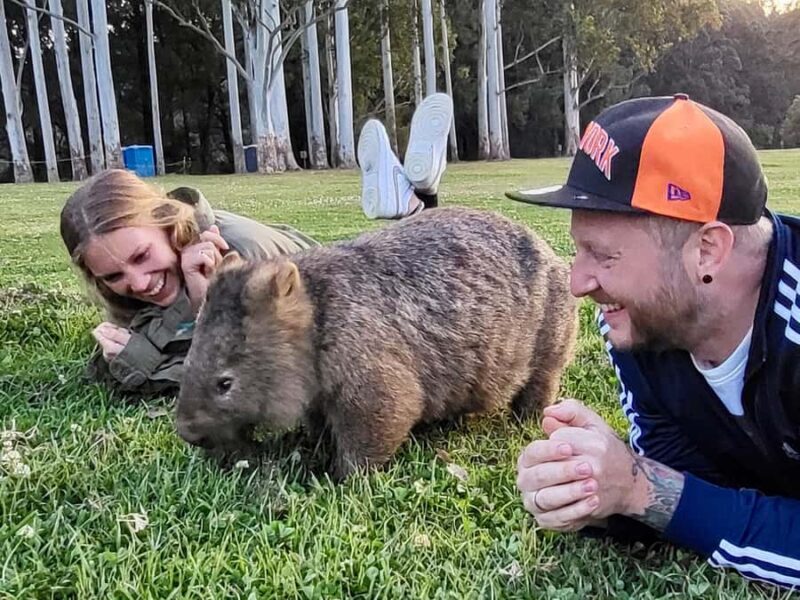 WILD Wombats and Kangaroo Experience, All Inclusive, Sydney - Key Points