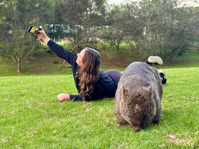 WILD Wombats and Kangaroo Experience, All Inclusive, Sydney - The Itinerary: A Breakdown of the Highlights