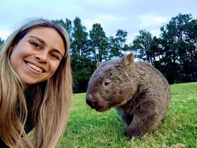 WILD Wombats and Kangaroo Experience, All Inclusive, Sydney - FAQ