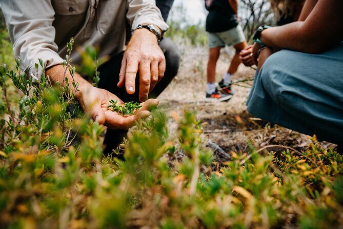 Wild Yarnbala - Exploring the Wild Yarnbala Experience