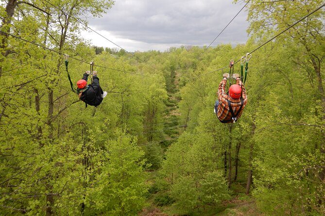 Wild Zipline Tour in Moundsville, West Virginia - Authentic Experiences and Traveler Feedback