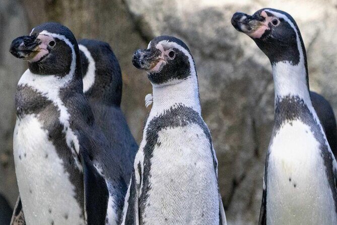 Wilder Institute/Calgary Zoo: Entry Ticket - Insights from Visitor Reviews