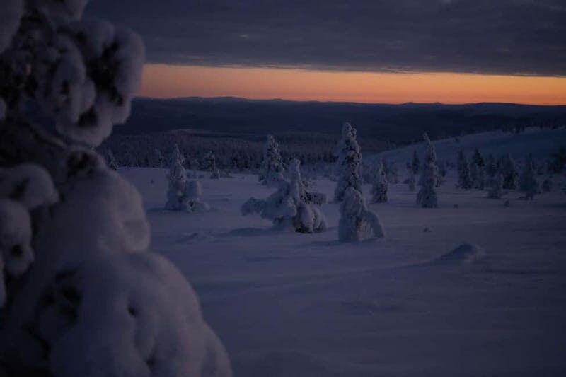 Wilderness Adventure by Snowmobile Sleigh - The Journey into Laplands Wilderness