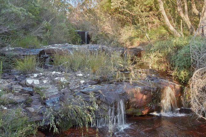 Wilderness kayak adventure with gourmet food - What Makes This Tour Special