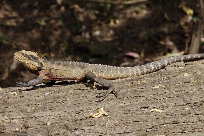 Wilderness kayak adventure with gourmet food - Authentic Traveler Feedback