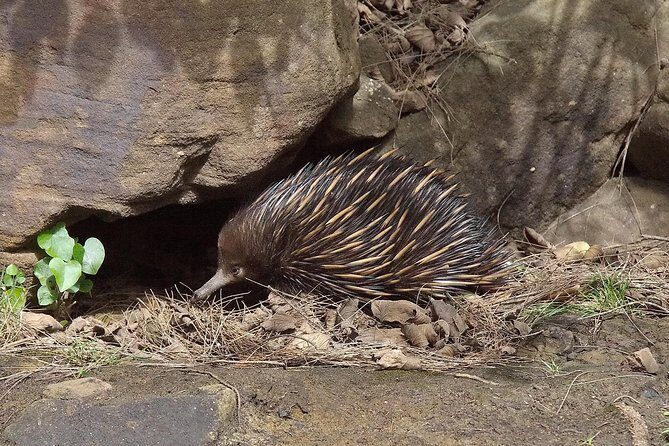 Wilderness kayak adventure with gourmet food - Final Words