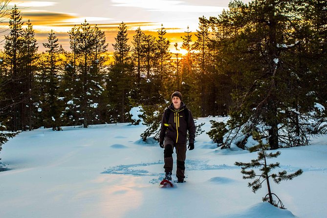 Wilderness Snowshoe Adventure - Booking and Cancellation Details