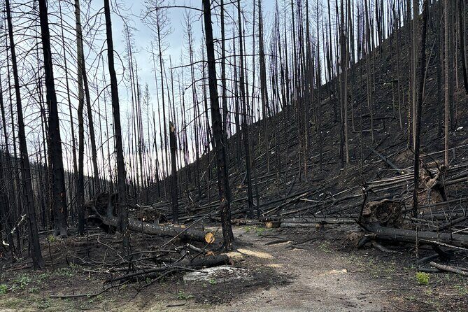 Wildfire Peak Nic - The Drive and Introduction