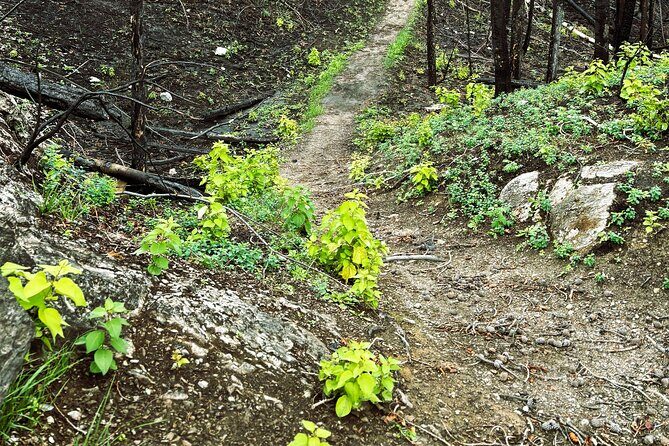 Wildfire Peak Nic - Reaching the Summit for 360-Degree Views