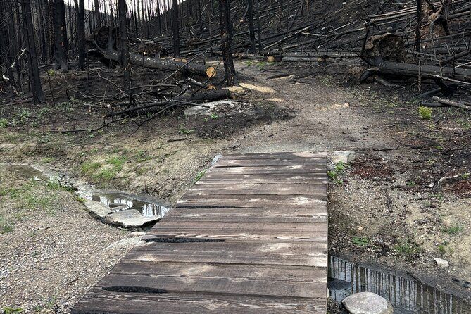 Wildfire Peak Nic - The Return and Reflection