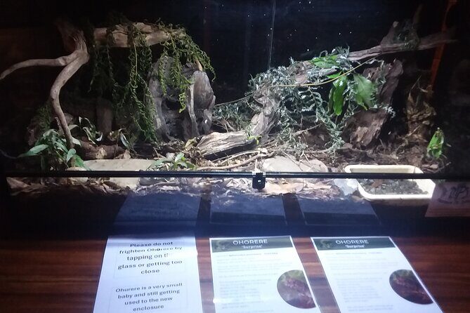 Wildlife Centre Experience - An In-Depth Look at the Wildlife Centre Experience