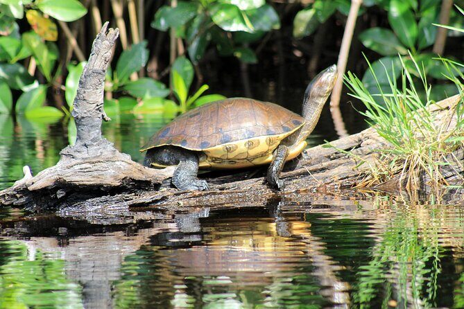 Wildlife Eco Tour on the coast of Oaxaca. - The Road Back: Observing Rural Life