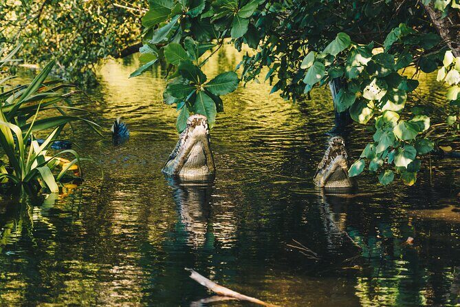 Wildlife Eco Tour on the coast of Oaxaca. - What’s Included and What’s Not