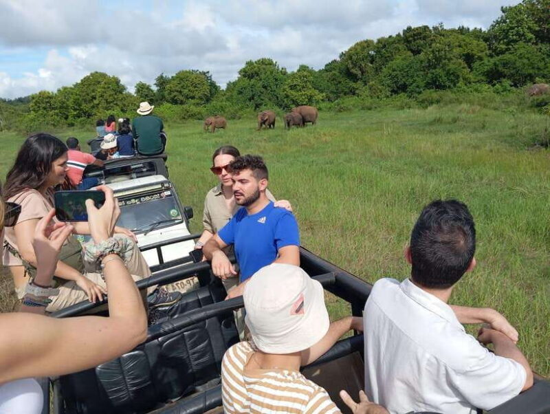 Wildlife experience at Minneriya National Park Safari - Key Points