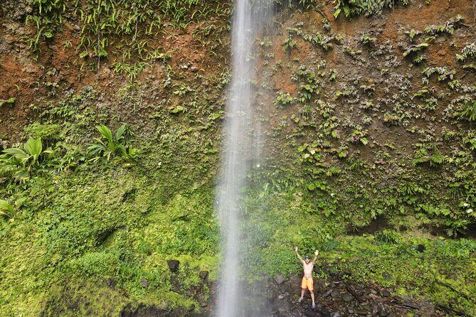 Wildlife Hike Middleham Falls - An In-Depth Look at the Wildlife Hike to Middleham Falls