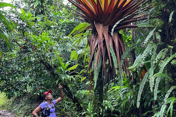 Wildlife Hike Middleham Falls - Frequently Asked Questions  