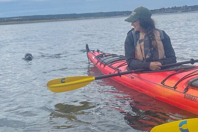 Wildlife Kayak Tour at Fort Flagler State Park - Introduction: Exploring Washington’s Coast by Kayak