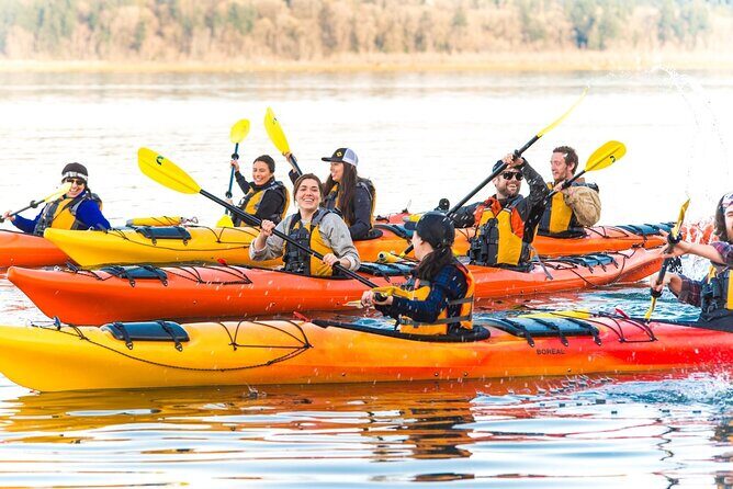 Wildlife Kayak Tour at Fort Flagler State Park - FAQs