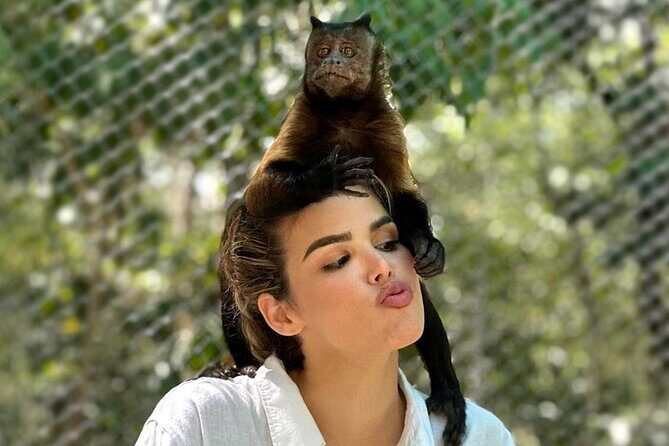 Wildlife Learning Adventure and Snorkeling in Akumal - Key Points