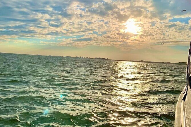 Wildlife Nature Cruise - 2.5 HR Eco Tour Anne Kolb State Park - An In-Depth Look at the Wildlife Nature Cruise Experience