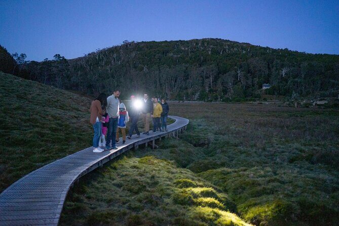Wildlife Night Spotting at Cradle Mountain - A Detailed Breakdown of the Experience